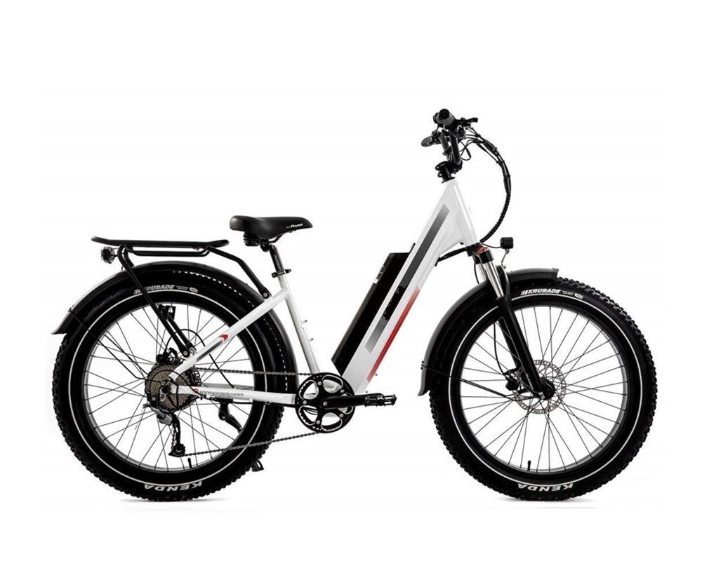 Lee9060 Fat Mountain Electric Bike