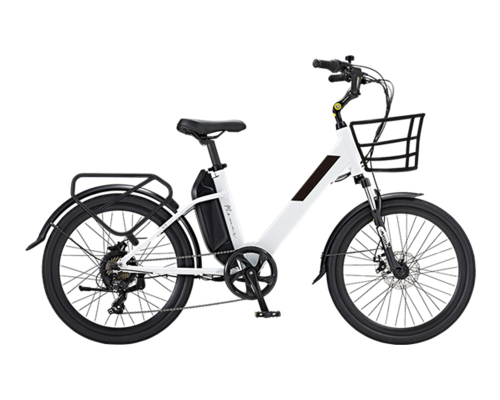 Electric bike in China