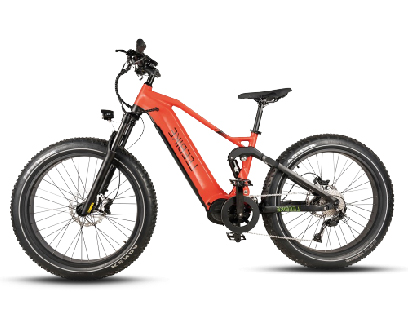 Electric Mountain Bike